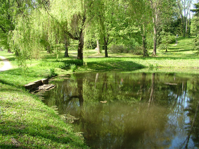 Budafai_Arboretum